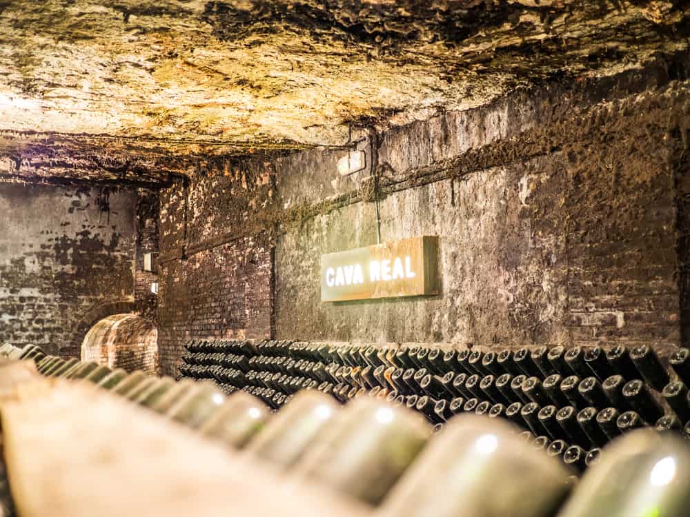 How Is Cava Made?