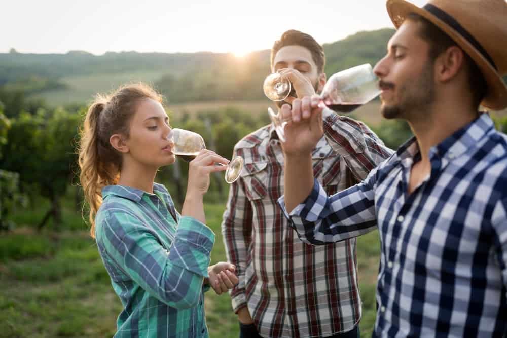 Why Do Some Generations Drink More Wine Than Others?