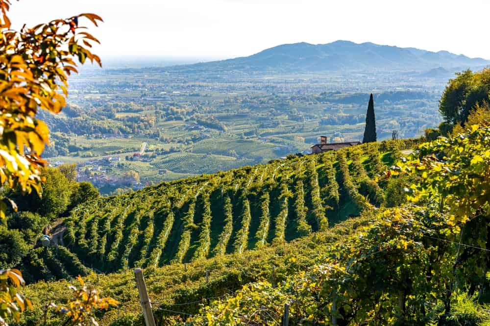 How Is Prosecco Made