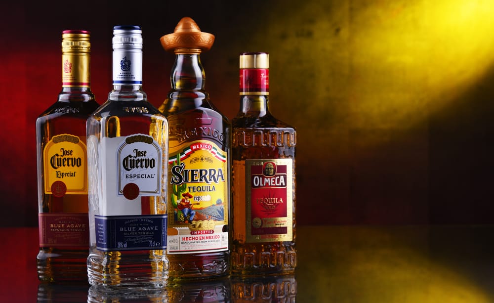 The Different Types Of Tequila