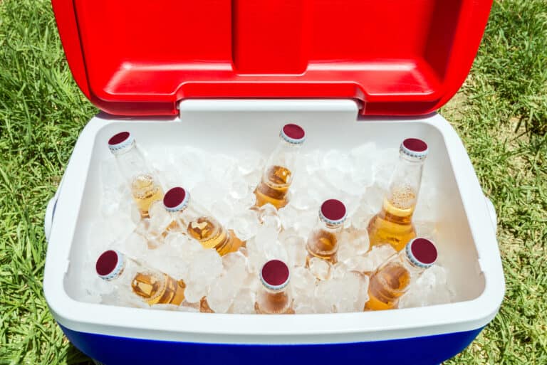 How To Keep Drinks Cold at a Summer Party (Easy Ways) DineWithDrinks