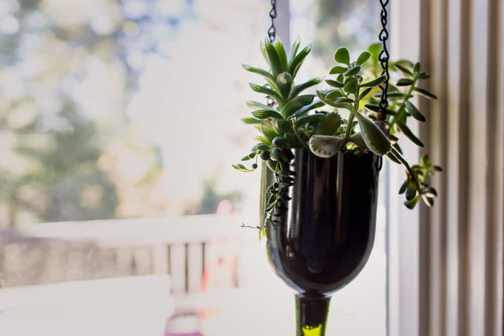 Wine Bottle Planter