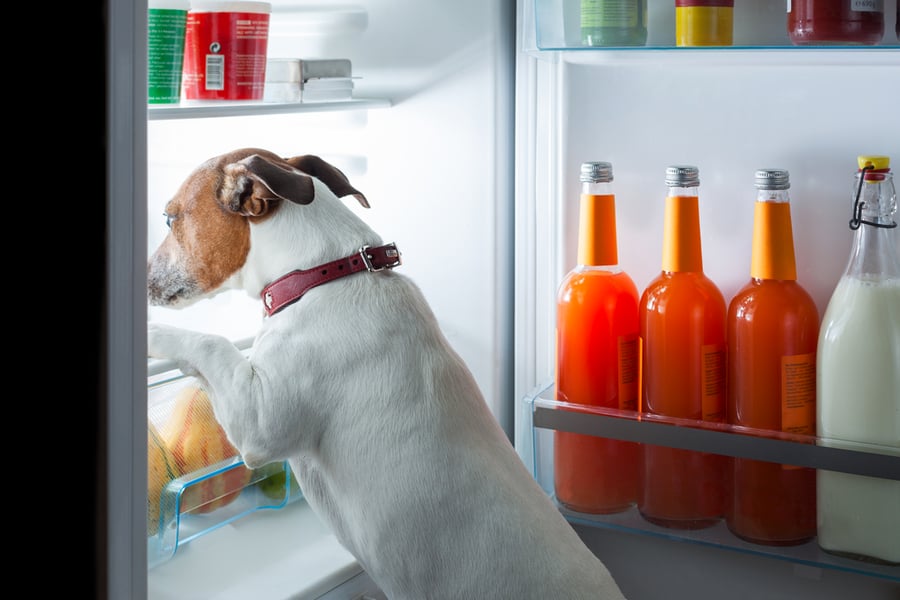 How Long For Drinks To Get Cold In Freezer?