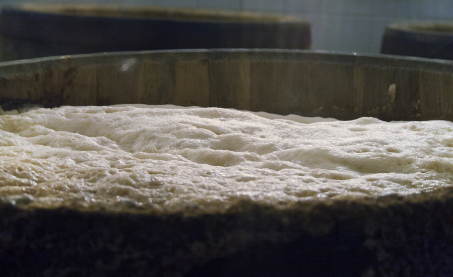 Boiling And Fermentation