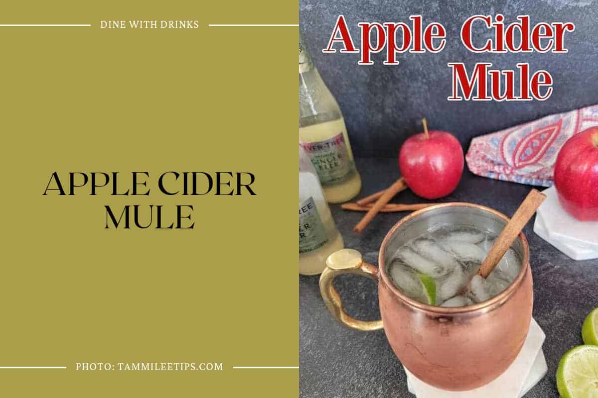 Apple Cider Mule