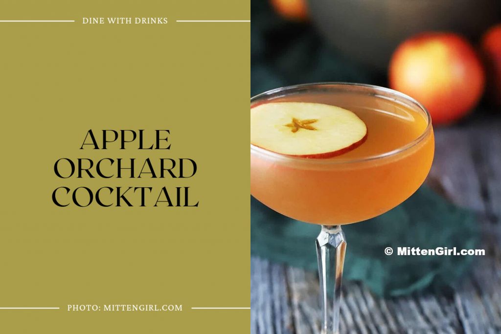 28 Apple Vodka Cocktails That Will Shake Up Your Taste Buds