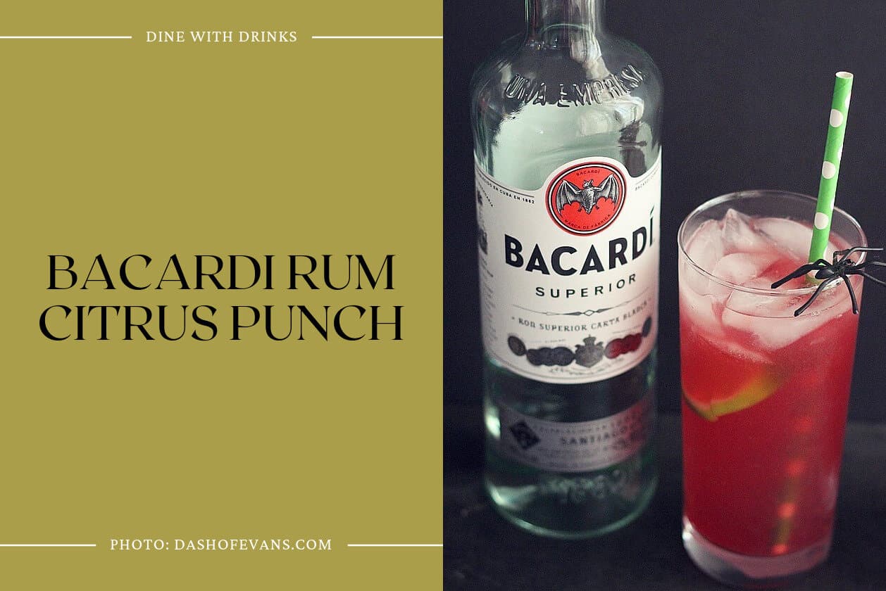 Bacardi Rum Citrus Punch