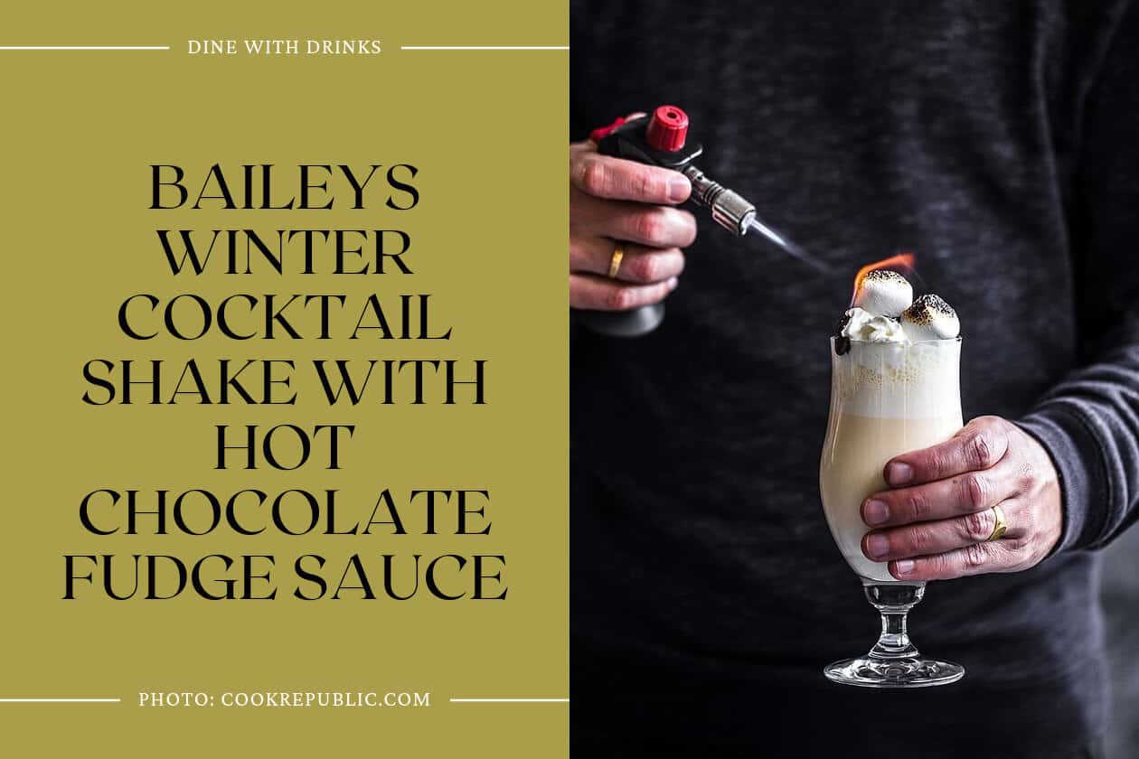 Baileys Winter Cocktail Shake With Hot Chocolate Fudge Sauce