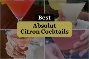 8 Best Absolut Citron Cocktails