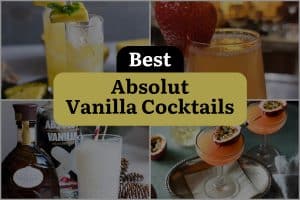 8 Best Absolut Vanilla Cocktails