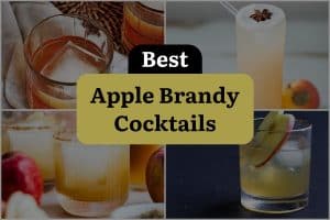 15 Best Apple Brandy Cocktails