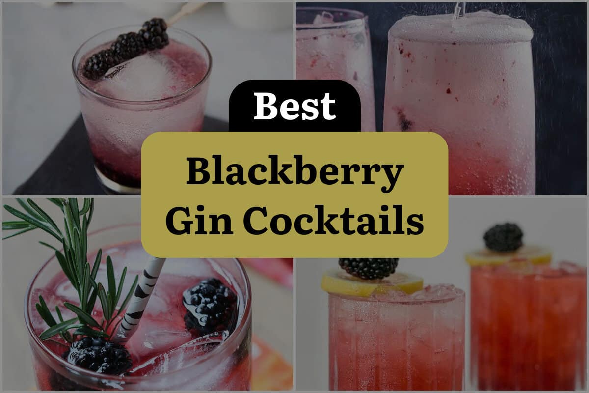 22 Best Blackberry Gin Cocktails