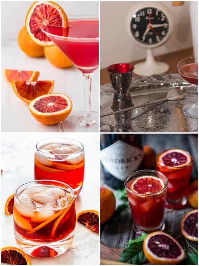 4 Blood Orange Vermouth Cocktails You Need To Try!