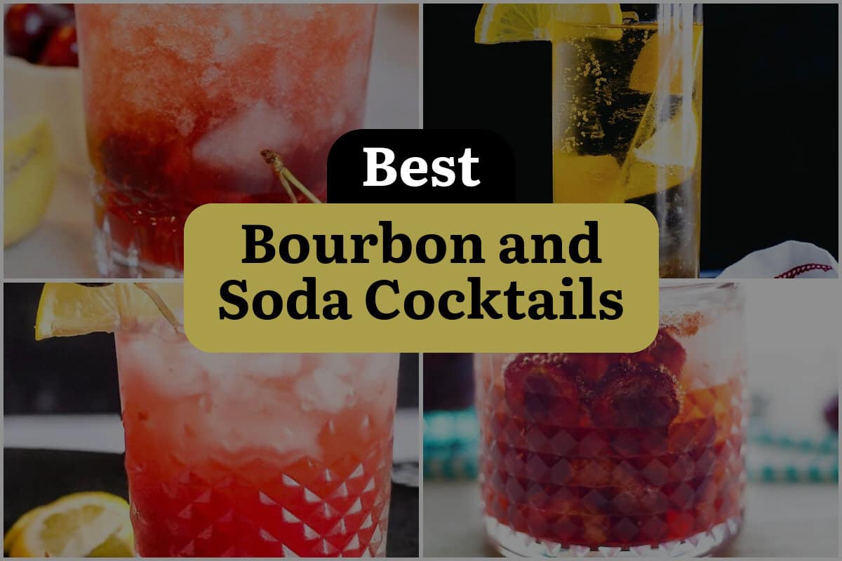 11 Best Bourbon And Soda Cocktails