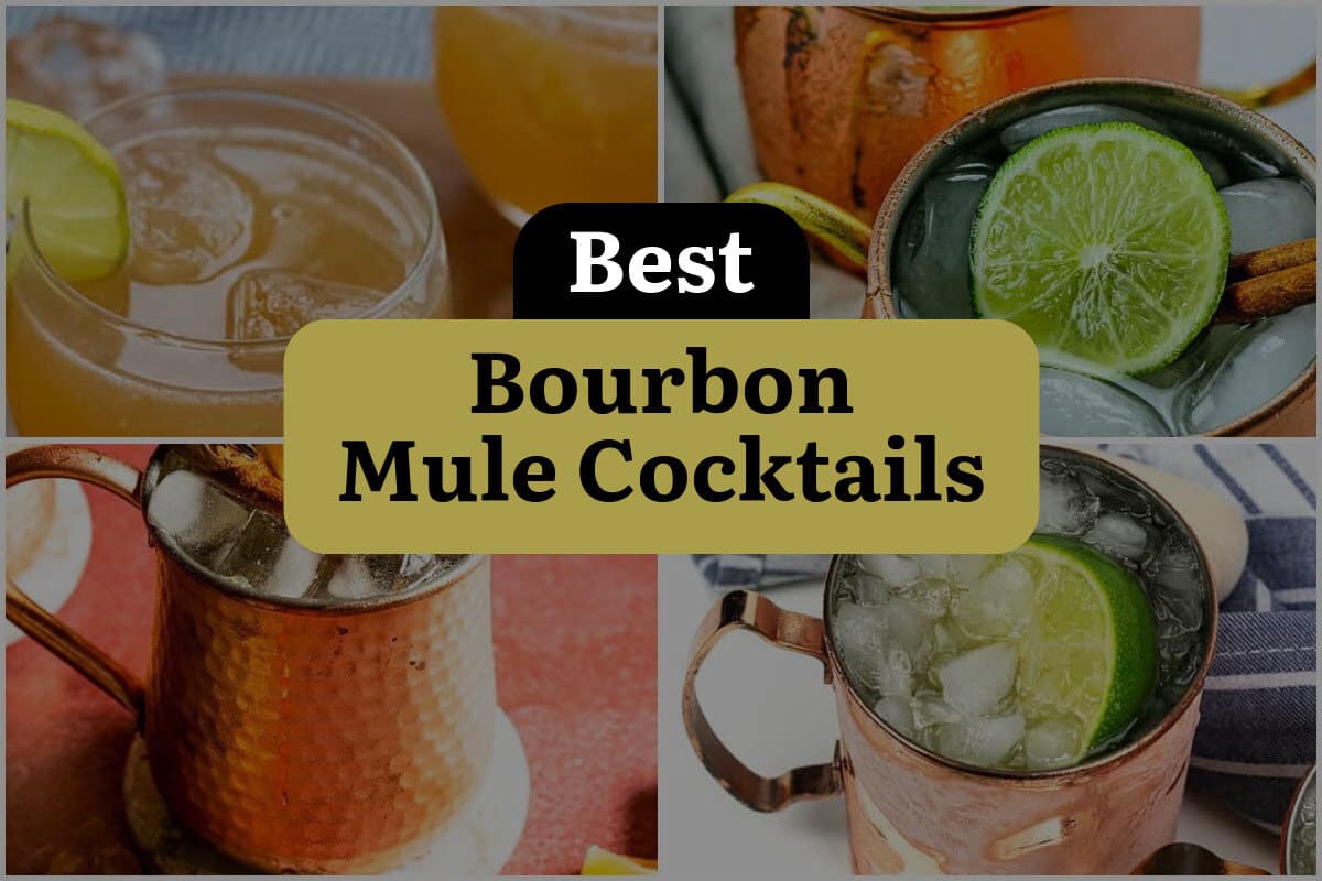 23 Best Bourbon Mule Cocktails