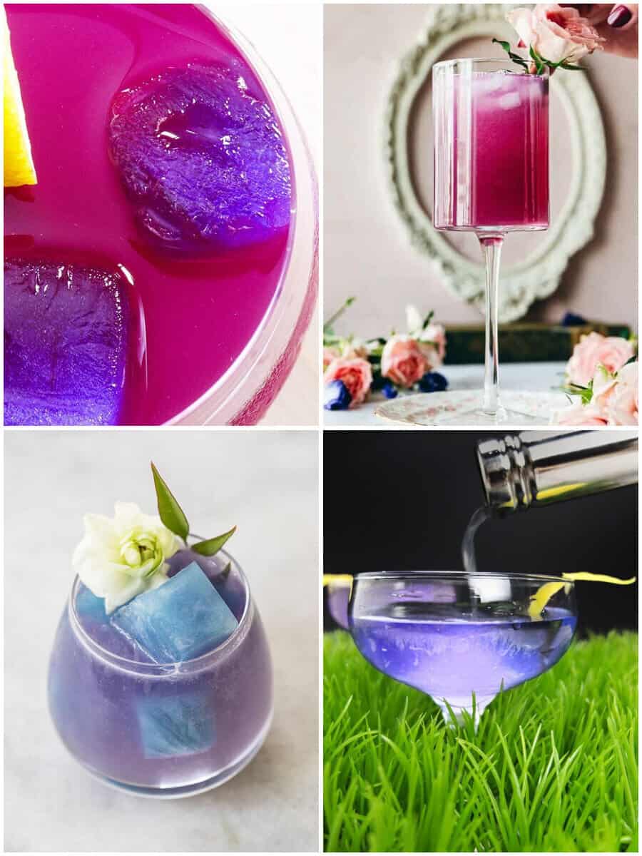 11 Best Butterfly Pea Vodka Cocktails
