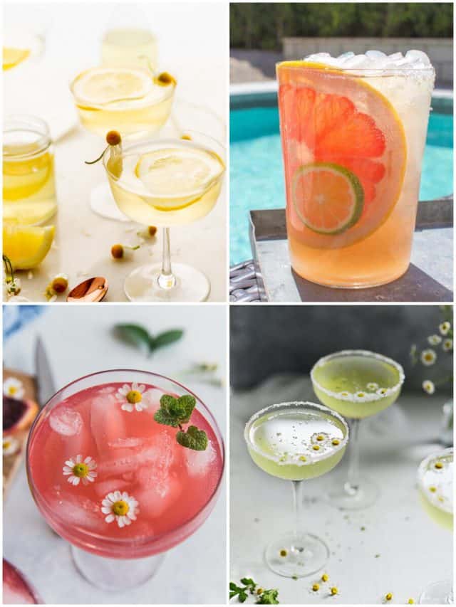 18 Chamomile Cocktails To Sip, Savor And Soothe Your Soul
