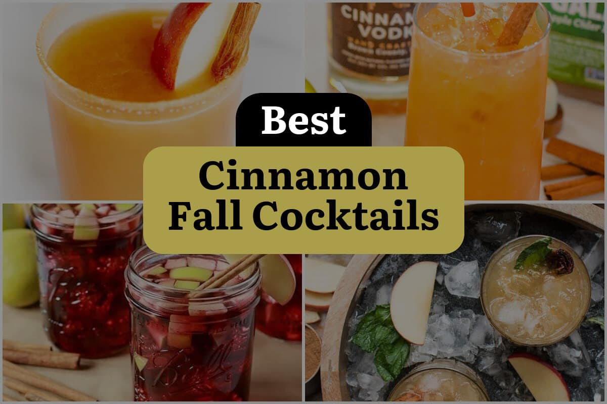 35 Best Cinnamon Fall Cocktails