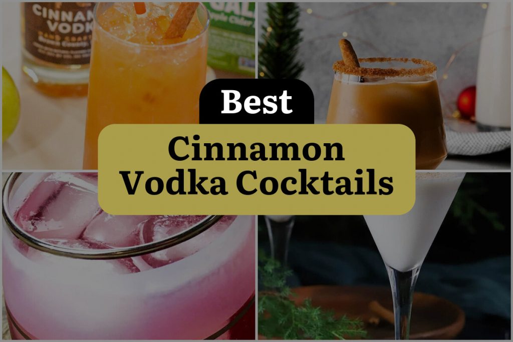 25 Cinnamon Vodka Cocktails to Spice Up Your Nightlife! DineWithDrinks