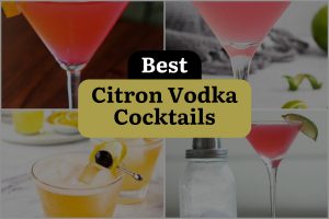 12 Best Citron Vodka Cocktails