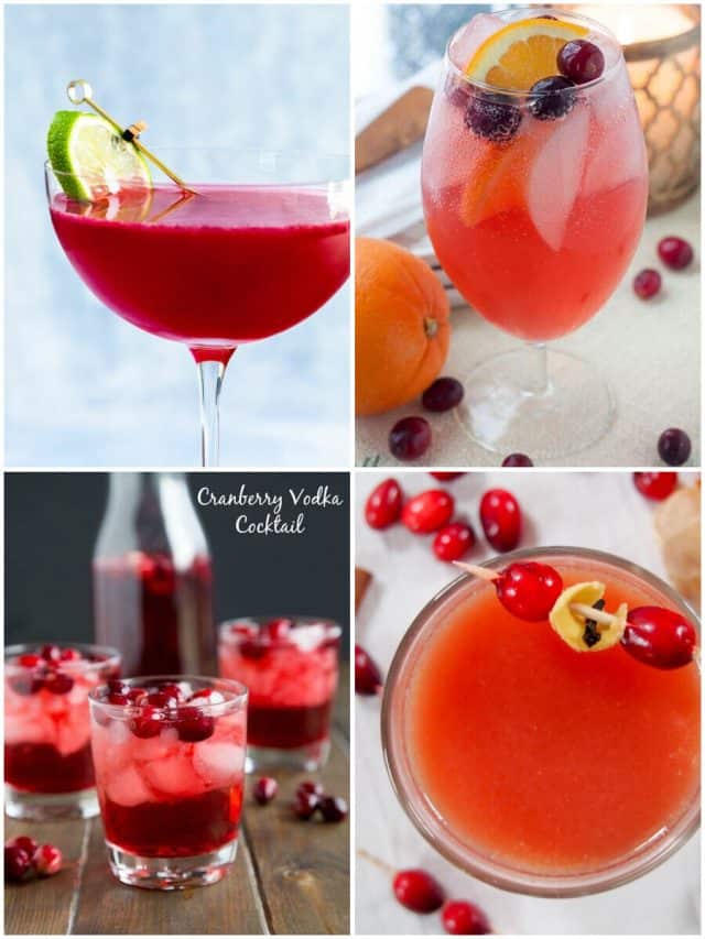 26 Cranberry Cocktails That Will Satisfy Your Thirsty Soul!