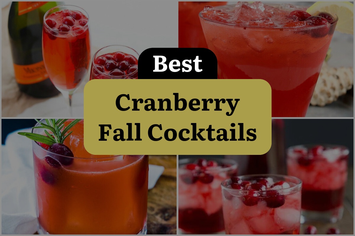36 Best Cranberry Fall Cocktails
