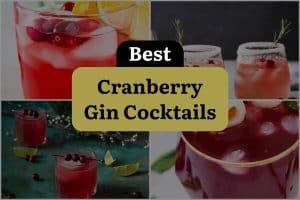 22 Best Cranberry Gin Cocktails