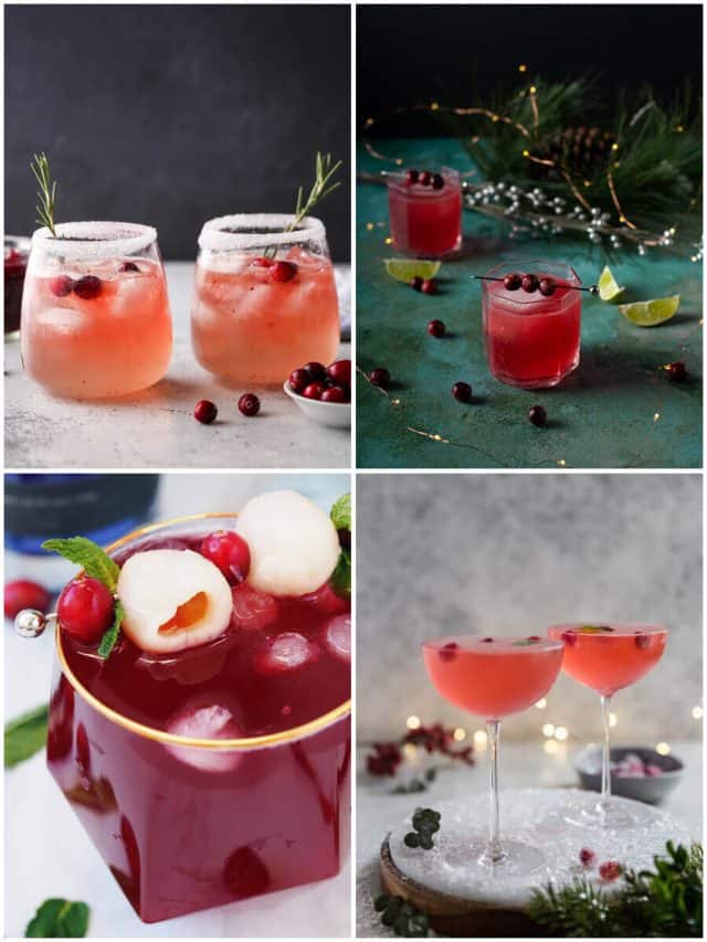 22 Cranberry Gin Cocktails To Shake Up Your Holiday Season