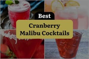5 Best Cranberry Malibu Cocktails