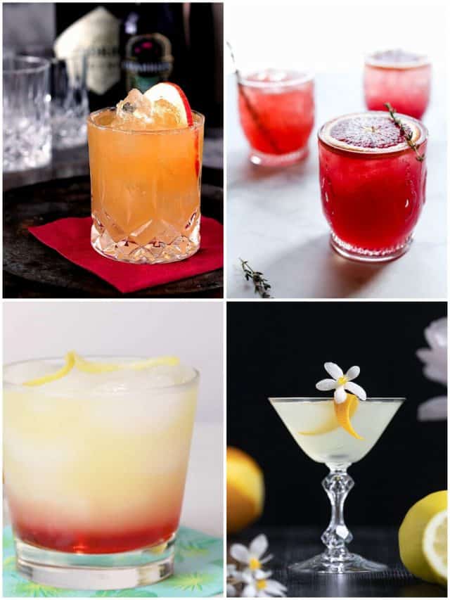 19 Creative Gin Cocktails That Will Shake Up Your Next Party!