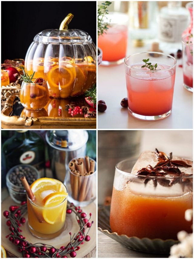 24 Delish Thanksgiving Cocktails To Shake Up Your Holiday!