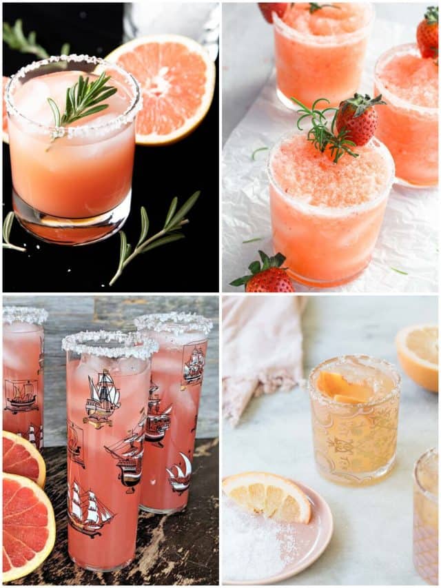 16 Dog Cocktails: Mixology For Man'S Best Friend!