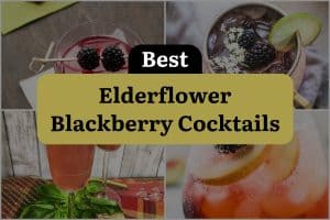 12 Best Elderflower Blackberry Cocktails
