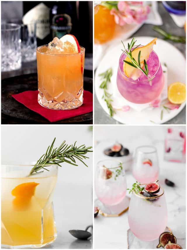 24 Fall Gin Cocktails To Shake Up Your Seasonal Spirits