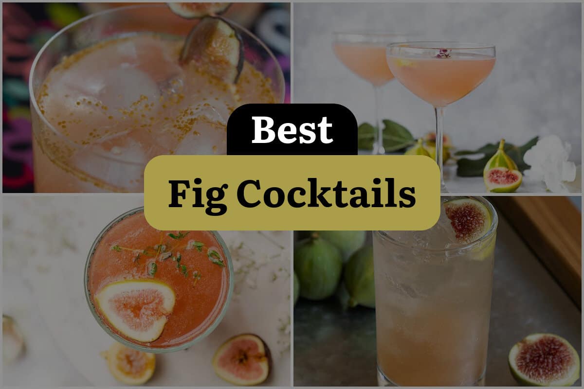 26 Best Fig Cocktails
