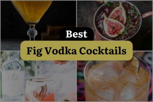 12 Best Fig Vodka Cocktails
