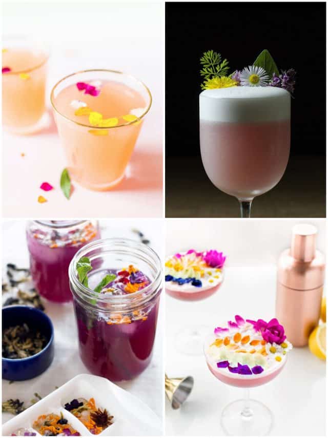 17 Flower Cocktails That Will Make You Bloom With Joy!