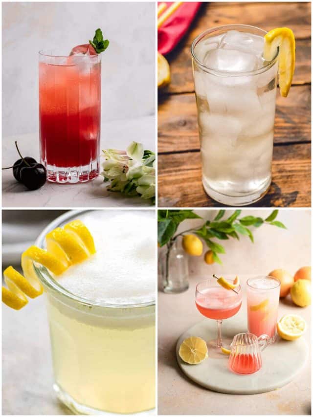25 Gin And Club Soda Cocktails To Spice Up Your Happy Hour!