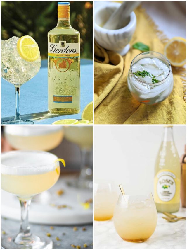 26 Gin And Lemon Cocktails That Will Shake Up Your World!