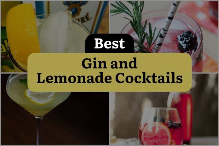 26 Gin and Lemonade Cocktails to Sip on this Summer | DineWithDrinks