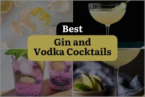 12 Best Gin And Vodka Cocktails