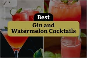 14 Best Gin And Watermelon Cocktails