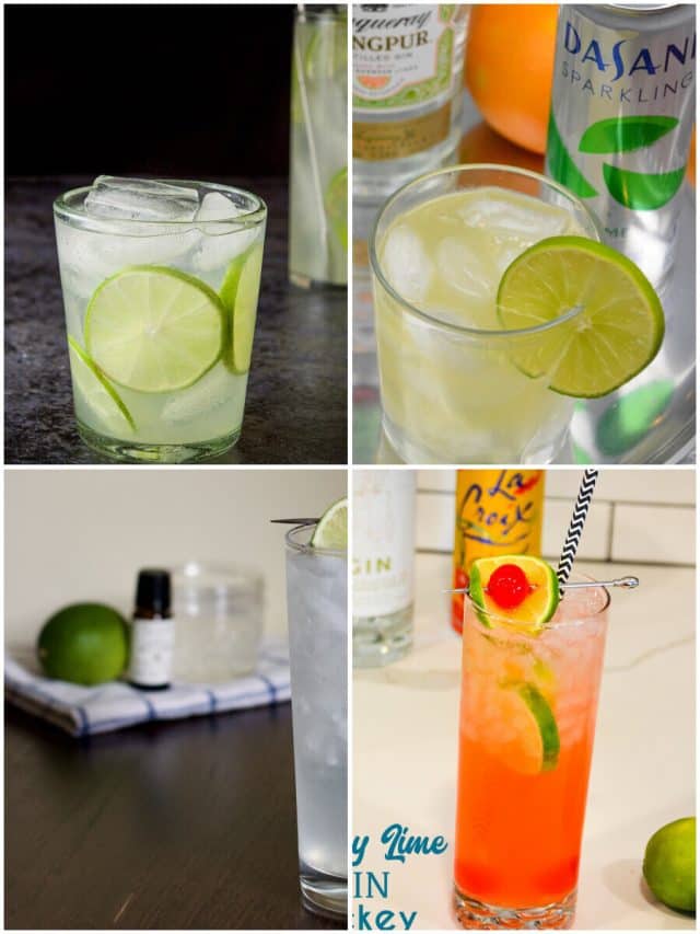 26 Gin Lime Cocktails To Shake Up Your Summer