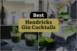 9 Best Hendricks Gin Cocktails
