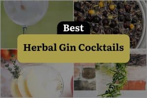 30 Best Herbal Gin Cocktails