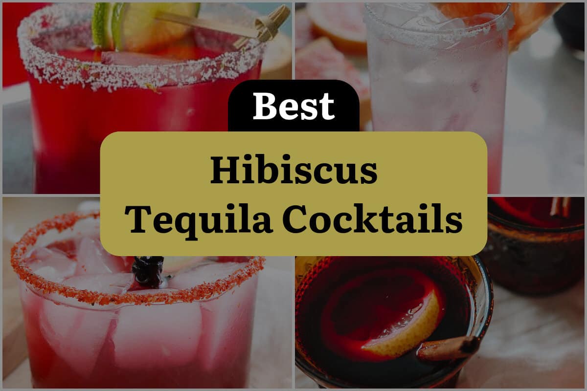 16 Best Hibiscus Tequila Cocktails