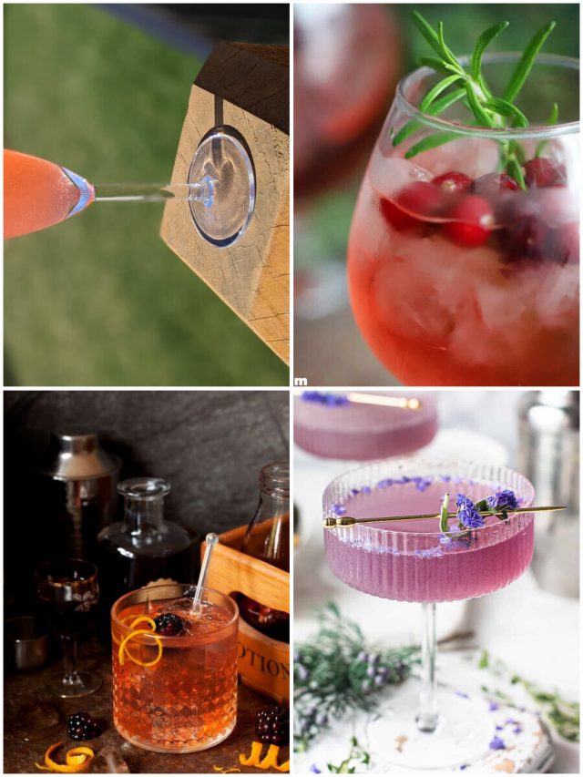 26 Holiday Gin Cocktails To Warm Your Spirits!