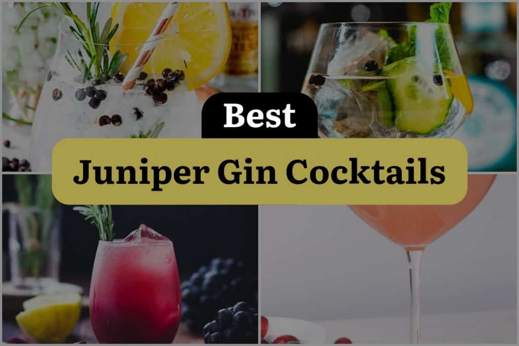 13 Juniper Gin Cocktails That Will Shake Up Your World! | DineWithDrinks