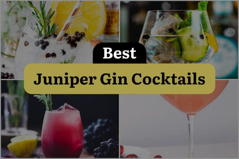 13 Juniper Gin Cocktails That Will Shake Up Your World! 