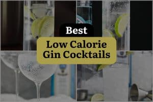 11 Best Low Calorie Gin Cocktails